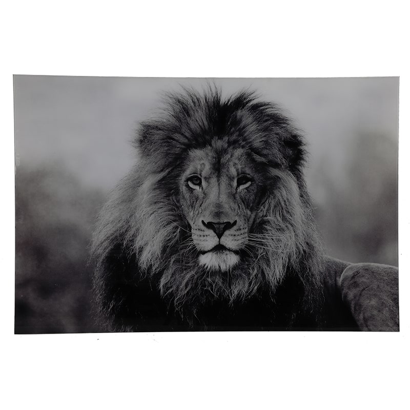 Glasschilderij - Leeuw Portret - 120 x 80 cm