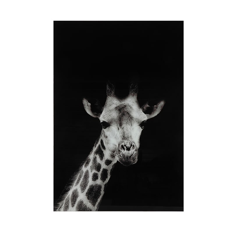 Glasschilderij - Giraffe Mocambo - 120 x 80 cm