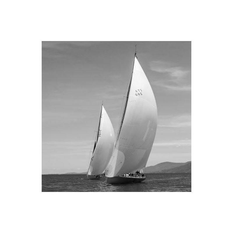 Glasschilderij - Regatta - 80 x 80 cm