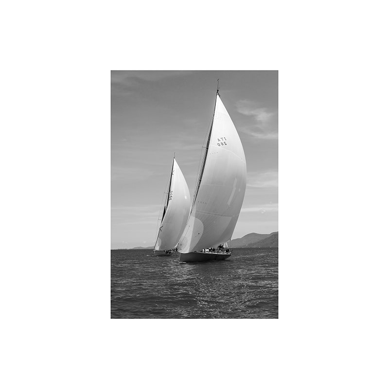 Glasschilderij - Regatta - 80 x 120 cm