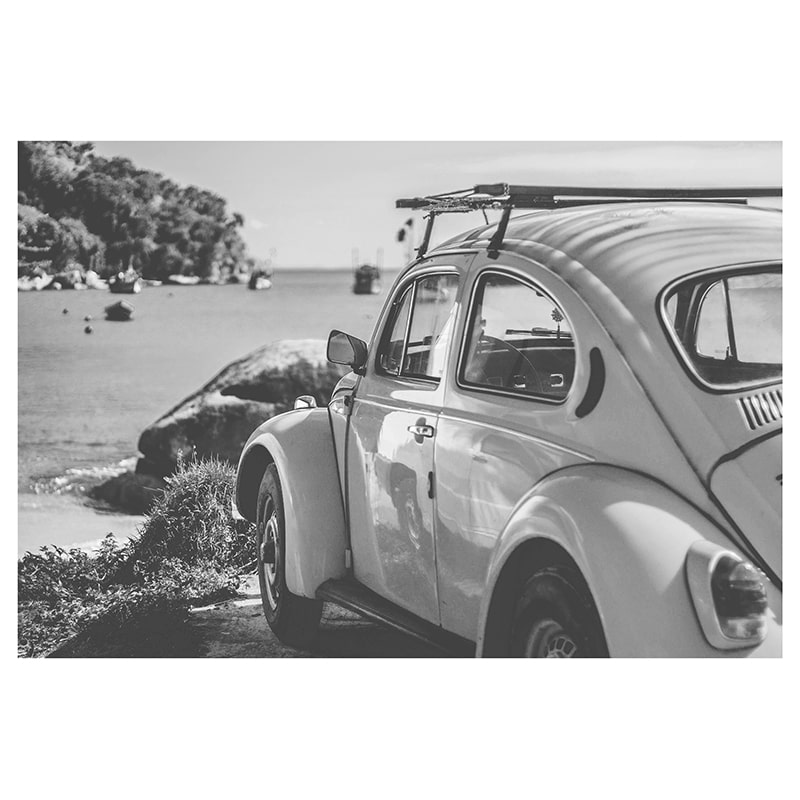 Glasschilderij - Beetle - 120 x 80 cm