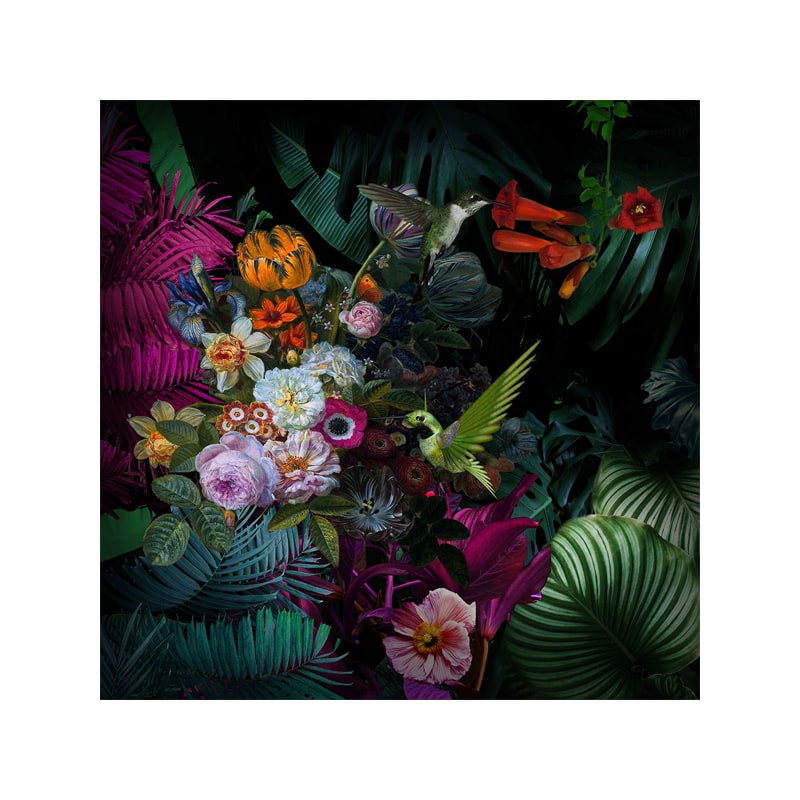 Glasschilderij - Kolibrie met Bloemen - 80 x 80 cm