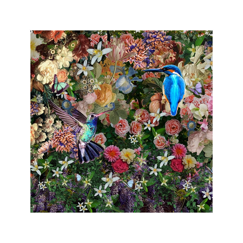 Glasschilderij - Vogels met Bloemen - 80 x 80 cm